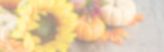 Color Study: Autumn