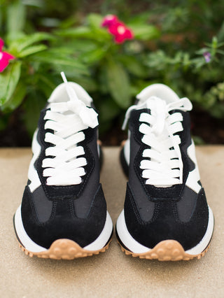 Steve Madden Campo Sneaker - Black White