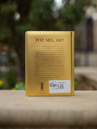 Bubbly Champagne Book