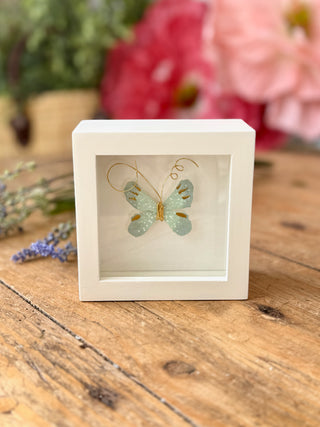 Butterfly Shadow Box