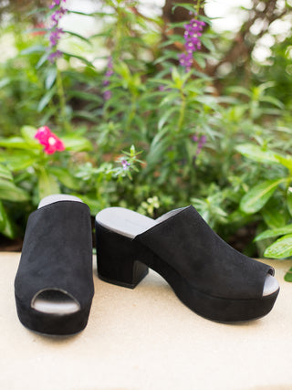 Chocolat Blu Garnnet Clog - Black Suede