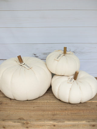 a collection of off white cotton pumpkins with sentiment tags perfect for fall decor over halloween and thanksgiving