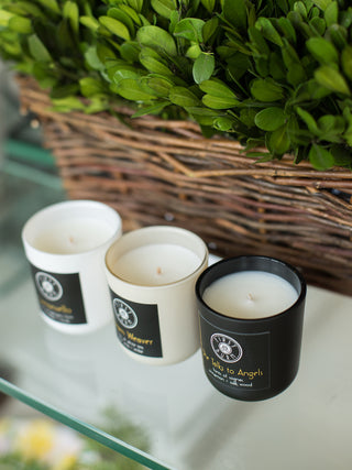 First Burn Votive Sampler Pack