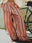 Coral Stripe