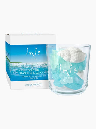glass jar with seashells and oil with notes of warm sandalwood oak moss and a hint of clove