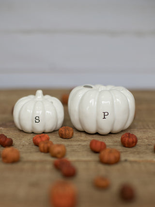 Magnetic White Pumpkin Salt Pepper Shaker Set