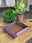 Gray Tray