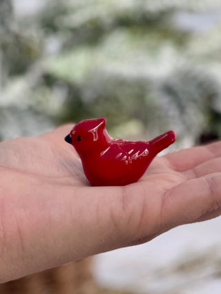 Pocket Cardinal Campanion - Red