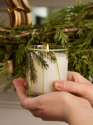 Thymes Frasier Fir Candle Pine Needle - 6.5oz