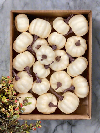 a collection of off white miniature pumpkins perfect for halloween and thanksgiving home decor accents