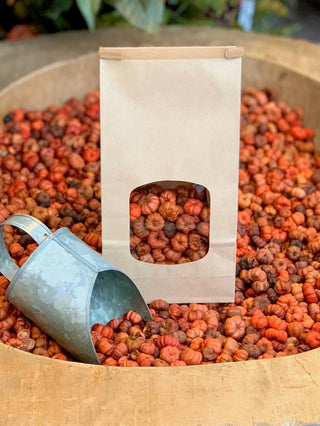a bag of miniature pumpkin potpourri perfect for halloween and thanksgiving fall decor gifts